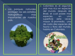    Colombia es el segundo
   Los parques naturales             país mas rico en especies
    protegen las seis estrellas       del mundo, después de
    hidrográficas         mas         Brasil, el cual posee mas
                                      especies,        en   una
    importantes de nuestro
                                      superficie    siete veces
    país.
                                      mayor. El promedio, una
                                      de cada diez especies de
                                      fauna y flora del mundo,
                                      habita en Colombia.
 