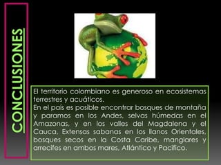 El territorio colombiano es generoso en ecosistemas
terrestres y acuáticos.
En el país es posible encontrar bosques de montaña
y paramos en los Andes, selvas húmedas en el
Amazonas, y en los valles del Magdalena y el
Cauca, Extensas sabanas en los llanos Orientales,
bosques secos en la Costa Caribe, manglares y
arrecifes en ambos mares, Atlántico y Pacifico.
 