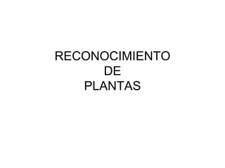 RECONOCIMIENTO
DE
PLANTAS
 