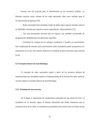 92
Usamos una red neuronal para la identificación de los caracteres aislados. La
literatura muestra varias ventajas de las redes neuronales sobre otros métodos para el
reconocimiento de patrones [32]:
- Redes neuronales bien diseñadas (redes de doble capa) superan métodos clásicos
en fiabilidad, mientras que requieren menos capacidad de almacenamiento [33].
- Son una herramienta universal que no requiere una cantidad considerable de
programación detallada para una aplicación específica.
- Combinan las ventajas de los enfoques estadísticos y basados en conocimiento.
Son complicadas de entrenar, pero conocimiento sobre el problema puede incorporarse a la
arquitectura de la red. Esto permite disminuir la cantidad de datos necesarios para entrenar
la red.
5.2 Conceptos básicos de neurofisiología.
El concepto de redes neuronales surgió a partir de los primeros trabajos de
neurofisiología que intentaban explicar el funcionamiento de la neurona.Por tanto, primero
veremos algunos conceptos básicos de neurofisiología.
5.2.1 Fisiología de una neurona.
En la figura se representan los componentes principales de una célula nerviosa. La
membrana de la neurona separa el plasma intracelular del fluido intersticial que se
encuentra fuera de la célula. La membrana es permeable para ciertos iones, de forma tal que
 