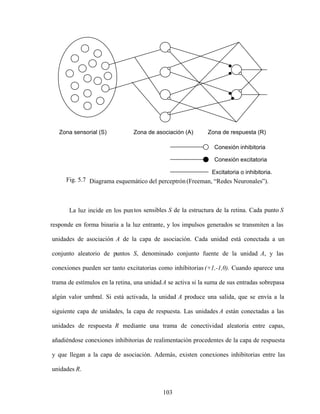 103
Fig. 5.7 Diagrama esquemático del perceptrón(Freeman, Redes Neuronales ).
La luz incide en los puntos sensibles S de la estructura de la retina. Cada punto S
responde en forma binaria a la luz entrante, y los impulsos generados se transmiten a las
unidades de asociación A de la capa de asociación. Cada unidad está conectada a un
conjunto aleatorio de puntos S, denominado conjunto fuente de la unidad A, y las
conexiones pueden ser tanto excitatorias como inhibitorias (+1,-1,0). Cuando aparece una
trama de estímulos en la retina, una unidadA se activa si la suma de sus entradas sobrepasa
algún valor umbral. Si está activada, la unidad A produce una salida, que se envía a la
siguiente capa de unidades, la capa de respuesta. Las unidades A están conectadas a las
unidades de respuesta R mediante una trama de conectividad aleatoria entre capas,
añadiéndose conexiones inhibitorias de realimentación procedentes de la capa de respuesta
y que llegan a la capa de asociación. Además, existen conexiones inhibitorias entre las
unidades R.
Zona sensorial (S) Zona de asociación (A) Zona de respuesta (R)
Conexión inhibitoria
Excitatoria o inhibitoria.
Conexión excitatoria
 