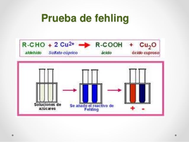 Reconocimiento de glucidos