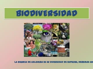 La riqueza de Colombia es su diversidad de especies, debemos cui
 
