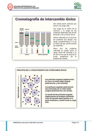 ANALISIS INSTRUMENTAL DE 
PRODUCTOS AGROINDUSTRIALES 
MUÑOZ ROJAS, Andrea Gisela. VEGA VIERA, Jhonas Abner. Página 16 
 