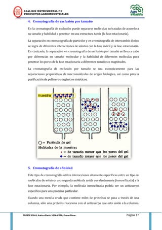 ANALISIS INSTRUMENTAL DE 
PRODUCTOS AGROINDUSTRIALES 
MUÑOZ ROJAS, Andrea Gisela. VEGA VIERA, Jhonas Abner. Página 17 
4. Cromatografía de exclusión por tamaño 
En la cromatografía de exclusión puede separarse moléculas solvatadas de acuerdo a su tamaño y habilidad a penetrar en una estructura tamiz (la fase estacionaria). 
La separación en cromatografía de partición y en cromatografía de intercambio iónico se logra de diferentes interacciones de solutos con la fase móvil y la fase estacionaria. En contraste, la separación en cromatografía de exclusión por tamaño se lleva a cabo por diferencias en tamaño molecular y la habilidad de diferentes moléculas para penetrar los poros de la fase estacionaria a diferentes tamaños o magnitudes. 
La cromatografía de exclusión por tamaño se usa extensivamente para las separaciones preparativas de macromoléculas de origen biológico, así como para la purificación de polímeros orgánicos sintéticos. 
5. Cromatografía de afinidad 
Este tipo de cromatografía utiliza interacciones altamente específicas entre un tipo de moléculas de soluto y una segunda molécula unida covalentemente (inmovilizada) a la fase estacionaria. Por ejemplo, la molécula inmovilizada podría ser un anticuerpo específico para una proteína particular. 
Cuando una mezcla cruda que contiene miles de proteínas se pasa a través de una columna, sólo una proteína reacciona con el anticuerpo que está unido a la columna.  