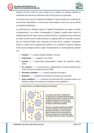 ANALISIS INSTRUMENTAL DE 
PRODUCTOS AGROINDUSTRIALES 
MUÑOZ ROJAS, Andrea Gisela. VEGA VIERA, Jhonas Abner. Página 18 
Después de lavar todos los otros solutos de la columna, la proteína deseada es desplazada del anticuerpo cambiando el pH, la fuerza iónica o la polaridad. 
Las interacciones entre las moléculas del ligando y blanco pueden ser el resultado de interacciones hidrofóbicas o interacciones electrostáticas, fuerzas de van der Waals y/o puentes de hidrógeno. 
La purificación por afinidad requiere un ligando bioespecífico que puede ser unido covalentemente a una matriz cromatográfica. El ligando acoplado debe retener su afinidad específica de enlace hacia las moléculas blanco, y después de lavar el material no unido, la unión entre la molécula blanco y el ligando debe ser reversible y permitir que las moléculas blanco sean removidas en forma activa. Cualquier componente puede ser usado como un ligando para purificar a su compañero respectivo. Algunas interacciones biológicas típicas usadas frecuentemente en cromatografía de afinidad son: 
 Enzima <----> sustrato análogo, inhibidor, cofactor. 
 Anticuerpo <----> antígeno, virus, célula. 
 Lecitina <----> polisacárido, glicoproteína, receptor de superficie celular, célula. 
 Ác. nucleico <----> secuencia base complementaria, histonas, polimerasa de ácidos nucleicos, proteína de unión al DNA. 
 Hormona, vitamina <----> receptor, proteína acarreadora. 
 Glutatión <----> glutatión-S-transferasa o proteínas de fusión GST 
 Iones metálicos <----> proteínas de fusión poli (his), proteínas nativas con histidina, residuos de cisteína y/o triptofano en sus superficies. 
 