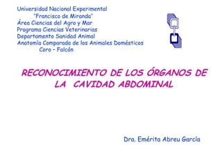 Universidad Nacional Experimental
      ‘’Francisco de Miranda’’
Área Ciencias del Agro y Mar
Programa Ciencias Veterinarias
Departamento Sanidad Animal
Anatomía Comparada de los Animales Domésticos
         Coro – Falcón



 RECONOCIMIENTO DE LOS ÓRGANOS DE
      LA CAVIDAD ABDOMINAL




                                     Dra. Emérita Abreu García
 