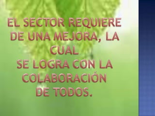 ADRIANA ROCIO TIBATÁ   9
 