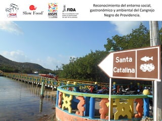 Reconocimiento	
  del	
  entorno	
  social,	
  
gastronómico	
  y	
  ambiental	
  del	
  Cangrejo	
  
Negro	
  de	
  Providencia.	
  
 