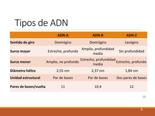 Tipos de ADN 
ADN-A ADN-B ADN-Z 
Sentido de giro Dextrógiro Dextrógiro Levógiro 
Surco mayor Estrecho, profundo 
Amplio, p...
