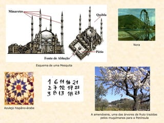 Esquema de uma Mesquita Nora Azulejo hispâno-árabe A amendoeira, uma das árvores de fruto trazidas pelos muçulmanos para a Península 