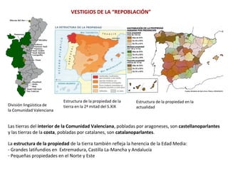 VESTIGIOS DE LA “REPOBLACIÓN”
División lingüística de
la Comunidad Valenciana
Las tierras del interior de la Comunidad Valenciana, pobladas por aragoneses, son castellanoparlantes
y las tierras de la costa, pobladas por catalanes, son catalanoparlantes.
La estructura de la propiedad de la tierra también refleja la herencia de la Edad Media:
- Grandes latifundios en Extremadura, Castilla La-Mancha y Andalucía
- Pequeñas propiedades en el Norte y Este
Estructura de la propiedad de la
tierra en la 2ª mitad del S.XIX
Estructura de la propiedad en la
actualidad
 