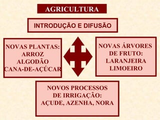 AGRICULTURA NOVAS PLANTAS: ARROZ ALGODÃO CANA-DE-AÇÚCAR INTRODUÇÃO E DIFUSÃO NOVAS ÁRVORES  DE FRUTO: LARANJEIRA LIMOEIRO NOVOS PROCESSOS DE IRRIGAÇÃO: AÇUDE, AZENHA, NORA 