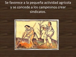 Se favorece a la pequeña actividad agrícola
    y se concede a los campesinos crear
                 sindicatos.
 