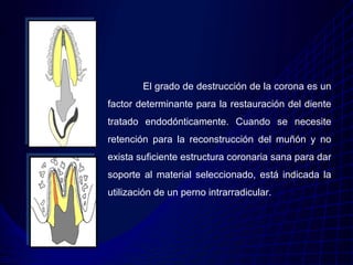 El grado de destrucción de la corona es un
factor determinante para la restauración del diente
tratado endodónticamente. Cuando se necesite
retención para la reconstrucción del muñón y no
exista suficiente estructura coronaria sana para dar
soporte al material seleccionado, está indicada la
utilización de un perno intrarradicular.
 
