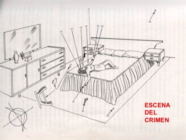 Descripcion De Una Escena Del Crimen Ejemplo josuescobarcrimescene.blogspot.com