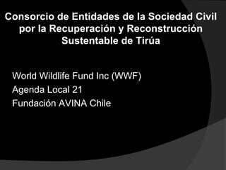 World Wildlife Fund Inc (WWF)
Agenda Local 21
Fundación AVINA Chile
Consorcio de Entidades de la Sociedad Civil
por la Recuperación y Reconstrucción
Sustentable de Tirúa
 