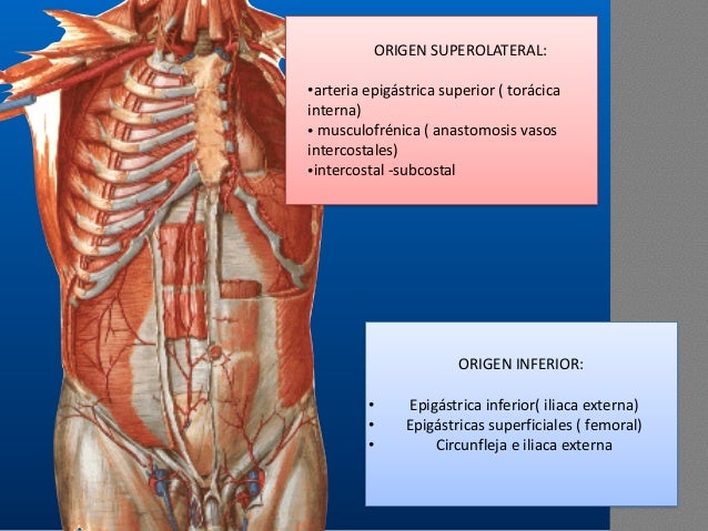 Reconstruccion De Pared Abdominal