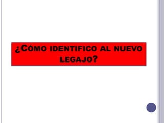 ¿CÓMO IDENTIFICO AL NUEVO
LEGAJO?
 