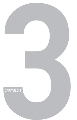 CAPÍTULO 3
 
