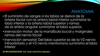 ANATOMIA
• El suministro de sangre a los labios se deriva de la
arteria facial con la arteria labial inferior suministrar la
labio inferior y la arteria labial superior y ramas
de la arteria angular suministrar el labio superior.
• Inervación motor: de la mandíbula bucal y marginales
ramas del nervio facial
• Inervación sensorial: Del labio superior es de la V2 nervio
infraorbitario y el V3 nervio mentoniano suministra el labio
inferior
LIP RECONSTRUCTION H.D. Vuyk and Ch.R. Leemans

 