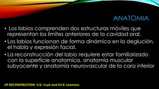 ANATOMIA
• Los labios comprenden dos estructuras móviles que
representan los límites anteriores de la cavidad oral.
• Los labios funcionan de forma dinámica en la deglución,
el habla y expresión facial.
• La reconstrucción del labio requiere estar familiarizado
con la superficie anatomíca, anatomía muscular
subyacente y anatomía neurovascular de la cara inferior

LIP RECONSTRUCTION H.D. Vuyk and Ch.R. Leemans

 
