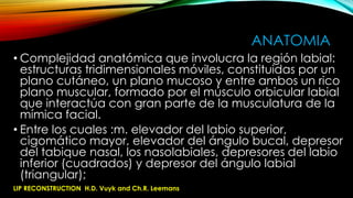 ANATOMIA
• Complejidad anatómica que involucra la región labial:
estructuras tridimensionales móviles, constituidas por un
plano cutáneo, un plano mucoso y entre ambos un rico
plano muscular, formado por el músculo orbicular labial
que interactúa con gran parte de la musculatura de la
mímica facial.
• Entre los cuales :m. elevador del labio superior,
cigomático mayor, elevador del ángulo bucal, depresor
del tabique nasal, los nasolabiales, depresores del labio
inferior (cuadrados) y depresor del ángulo labial
(triangular);
LIP RECONSTRUCTION H.D. Vuyk and Ch.R. Leemans

 