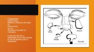 • 9 SUBUNIDADES
DORSO NASAL
PAREDES LATERALES DE NARIZ
(2)
PUNTA NASAL
ALA (2)
TRIANGULO BLANDO (2)
COLUMELA
SI MAS DEL 50% DE LA
SUBUNIDAD ESTA INVOLUCRADA
ES MEJOR REEMPLAZAR LA
SUBUNIDAD
 