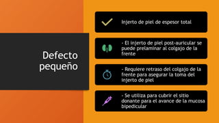 Defecto
pequeño
Injerto de piel de espesor total
- El injerto de piel post-auricular se
puede prelaminar al colgajo de la
frente
- Requiere retraso del colgajo de la
frente para asegurar la toma del
injerto de piel
- Se utiliza para cubrir el sitio
donante para el avance de la mucosa
bipedicular
 