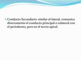 Conducto Secundario: similar al lateral, comunica
directamente el conducto principal o colateral con
el periodonto, pero en el tercio apical.
 