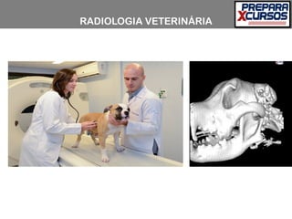 RADIOLOGIA VETERINÁRIA
 