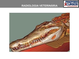 RADIOLOGIA VETERINÁRIA
 