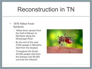Reconstruction in TN
• 1878 Yellow Fever
Epidemic
• Yellow fever spread from
the Gulf of Mexico to
Memphis along the
Mississippi River
• By the end of the year,
5,000 people in Memphis
died from the disease
• Throughout the South,
20,000 people died from
the disease and 80,000
survived the infection
 