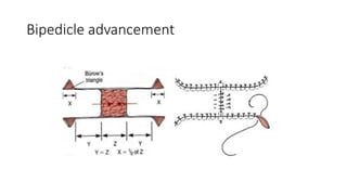 Comprehensive Guide to Soft Tissue Reconstruction Techniques in Plastic ...