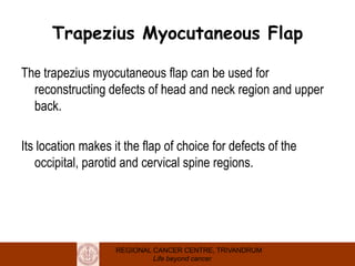 REGIONAL CANCER CENTRE, TRIVANDRUM
Life beyond cancer
Trapezius Myocutaneous Flap
The trapezius myocutaneous flap can be used for
reconstructing defects of head and neck region and upper
back.
Its location makes it the flap of choice for defects of the
occipital, parotid and cervical spine regions.
 