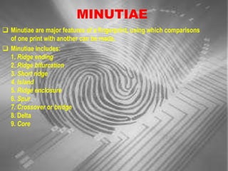 Core Minutiae Example Reconstruction of fingerprints | PPT