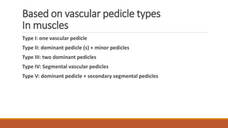 Based on vascular pedicle types
In muscles
Type I: one vascular pedicle
Type II: dominant pedicle (s) + minor pedicles
Type III: two dominant pedicles
Type IV: Segmental vascular pedicles
Type V: dominant pedicle + secondary segmental pedicles
 