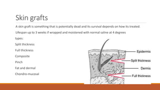 Skin grafts
A skin graft is something that is potentially dead and its survival depends on how its treated.
Lifespan up to 3 weeks if wrapped and moistened with normal saline at 4 degrees
types:
Split thickness
Full thickness
Composite
Pinch
Fat and dermal
Chondro-mucosal
 