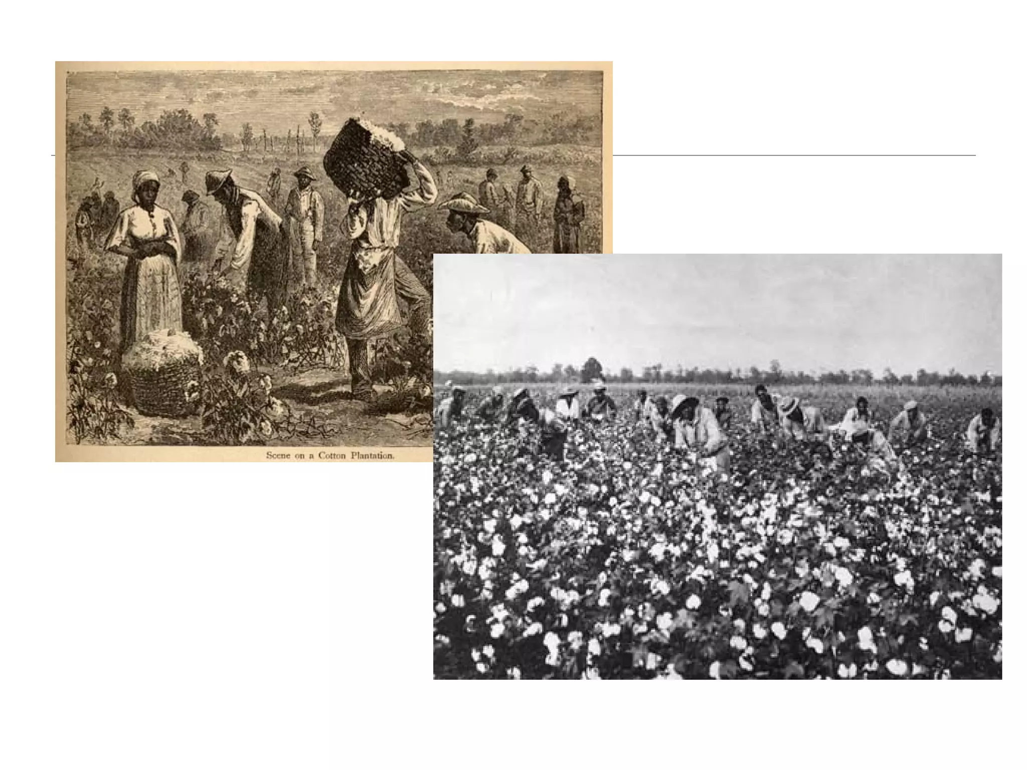 Reconstruction unit lesson 3 - sharecropping - power point | PPT