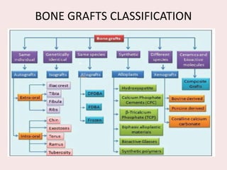 BONE GRAFTS CLASSIFICATION
 