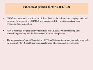 Fibroblast growth factor-2 (FGF-2)
• FGF-2 accelerates the proliferation of fibroblastic cells, enhances the angiogenesis, and
increases the expression of BMP-2 and osteoblast differentiation markers, thus
promoting bone deposition.
• FGF-2 enhances the proliferative responses of PDL cells, while inhibiting their
mineralizing activity and the induction of alkaline phosphatase.
• The suppression of cytodifferentiation of PDL cells into mineralized tissue-forming cells
by means of FGF-2 might lead to an acceleration of periodontal regeneration.
 