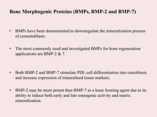 Bone Morphogenic Proteins (BMPs, BMP-2 and BMP-7)
• BMPs have been demonstrated to downregulate the mineralization process
of cementoblasts.
• The most commonly used and investigated BMPs for bone regeneration
applications are BMP-2 & 7.
• Both BMP-2 and BMP-7 stimulate PDL cell differentiation into osteoblasts
and increase expression of mineralized tissue markers.
• BMP-2 may be more potent than BMP-7 as a bone forming agent due to its
ability to induce both early and late osteogenic activity and matrix
mineralization.
 