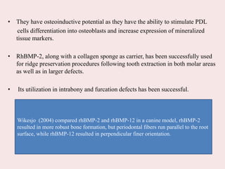 • They have osteoinductive potential as they have the ability to stimulate PDL
cells differentiation into osteoblasts and increase expression of mineralized
tissue markers.
• RhBMP-2, along with a collagen sponge as carrier, has been successfully used
for ridge preservation procedures following tooth extraction in both molar areas
as well as in larger defects.
• Its utilization in intrabony and furcation defects has been successful.
Wikesjo (2004) compared rhBMP-2 and rhBMP-12 in a canine model, rhBMP-2
resulted in more robust bone formation, but periodontal fibers run parallel to the root
surface, while rhBMP-12 resulted in perpendicular finer orientation.
 