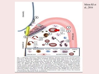 Miron RJ et
al., 2016
 