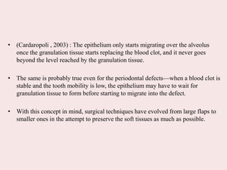 • (Cardaropoli , 2003) : The epithelium only starts migrating over the alveolus
once the granulation tissue starts replacing the blood clot, and it never goes
beyond the level reached by the granulation tissue.
• The same is probably true even for the periodontal defects—when a blood clot is
stable and the tooth mobility is low, the epithelium may have to wait for
granulation tissue to form before starting to migrate into the defect.
• With this concept in mind, surgical techniques have evolved from large flaps to
smaller ones in the attempt to preserve the soft tissues as much as possible.
 