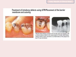 Sato, Naoshi: A Clinical Atlas
 