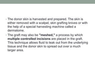 • The donor skin is harvested and prepared. The skin is
either removed with a scalpel, skin grafting knives or with
the help of a special harvesting machine called a
dermatome.
• The graft may also be "meshed," a process by which
multiple controlled incisions are placed in the graft.
This technique allows fluid to leak out from the underlying
tissue and the donor skin to spread out over a much
larger area.
 