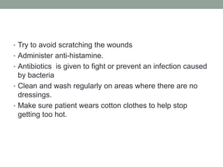 • Try to avoid scratching the wounds
• Administer anti-histamine.
• Antibiotics is given to fight or prevent an infection caused
by bacteria
• Clean and wash regularly on areas where there are no
dressings.
• Make sure patient wears cotton clothes to help stop
getting too hot.
 