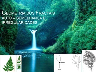 GEOMETRIA DOS FRACTAIS
AUTO – SEMELHANÇA E
IRREGULARIDADES
 