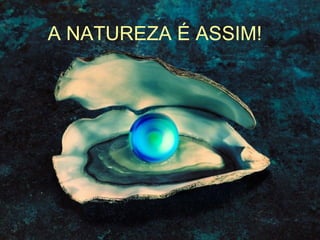 A NATUREZA É ASSIM!
 